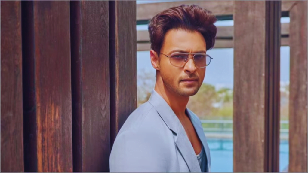 Aayush Sharma New Movie Ruslaan Review