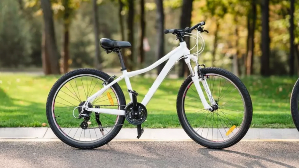 Top 10 Best Cycle Brands in India 2024